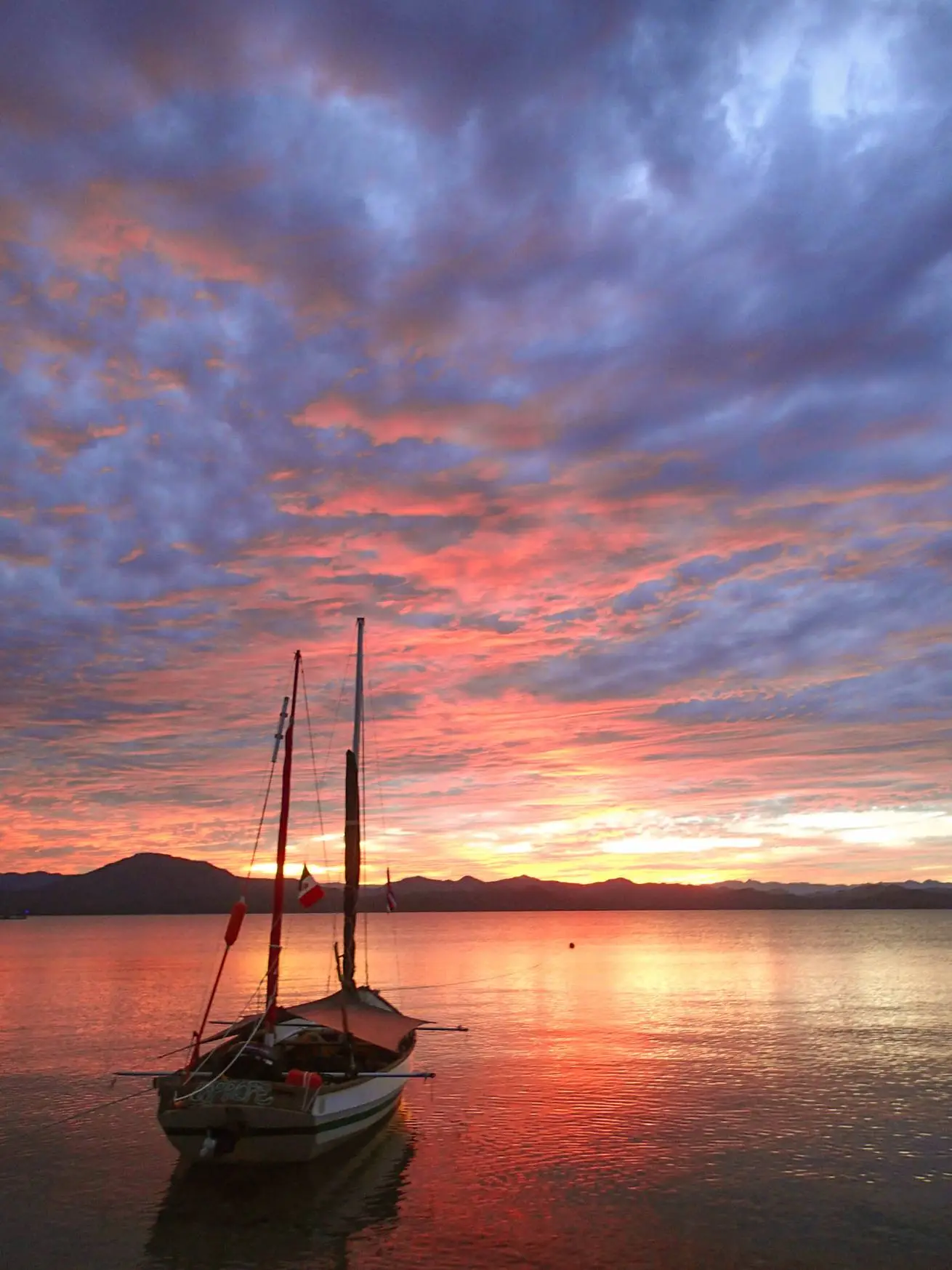 Photo by Alisha Bube