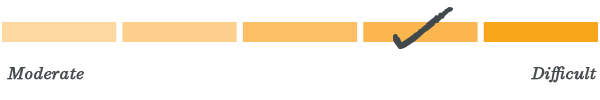 Overall Difficulty 4