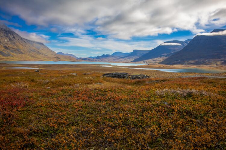 Photo Credit: Molly Hagbrand