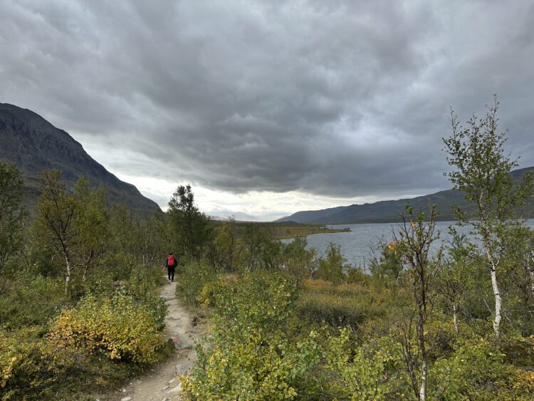 Photo Credit:  Sarah Fick