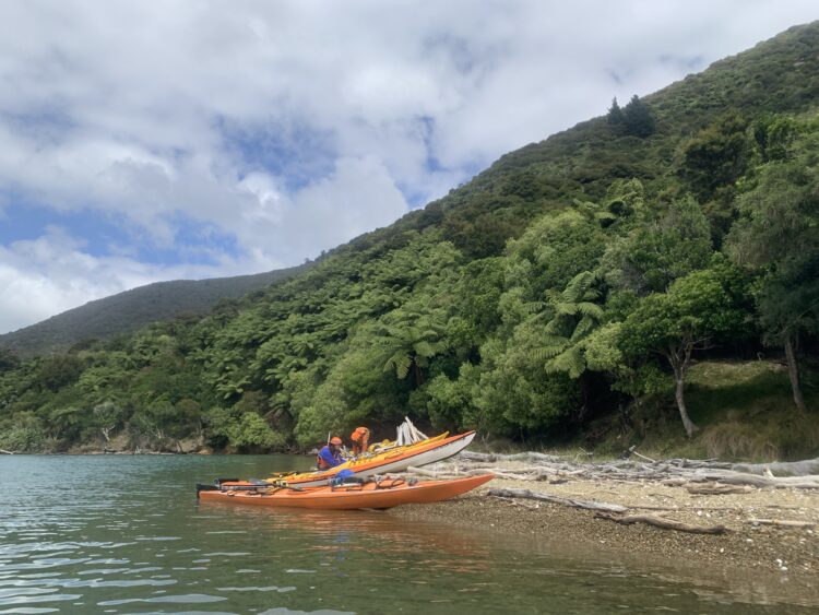 Photo by Susan Blick