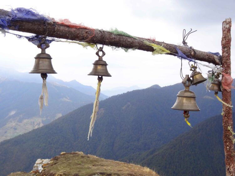 Photo credit: AnneMarie Vocca