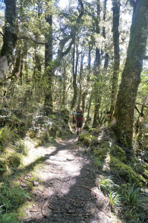 Photo Credit: Holly Beeman