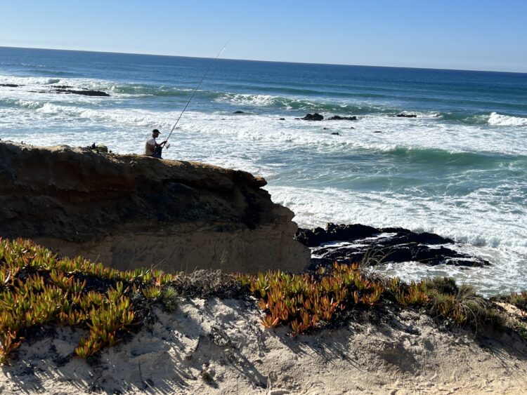 Photo Credit: Hillary Murnighan