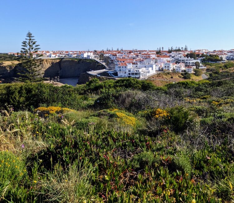 Photo Credit: Sydney Ramgolan