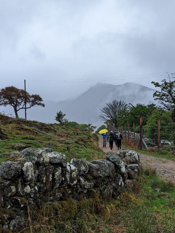 Photo credit: Meghan Wood