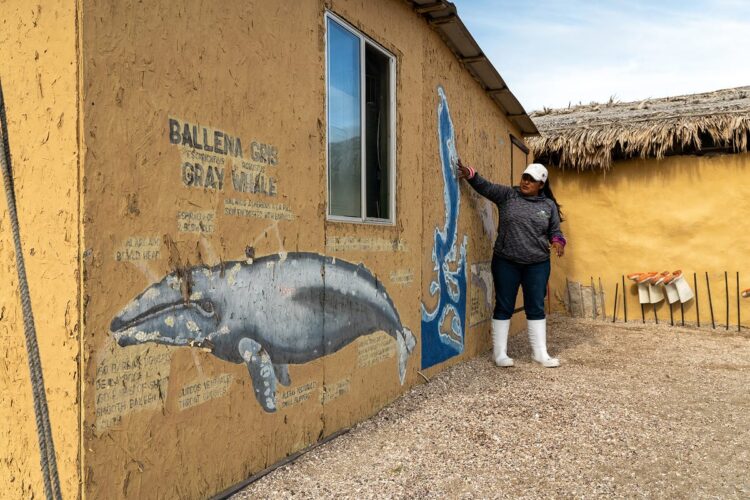 Photo by Oscar Manguy