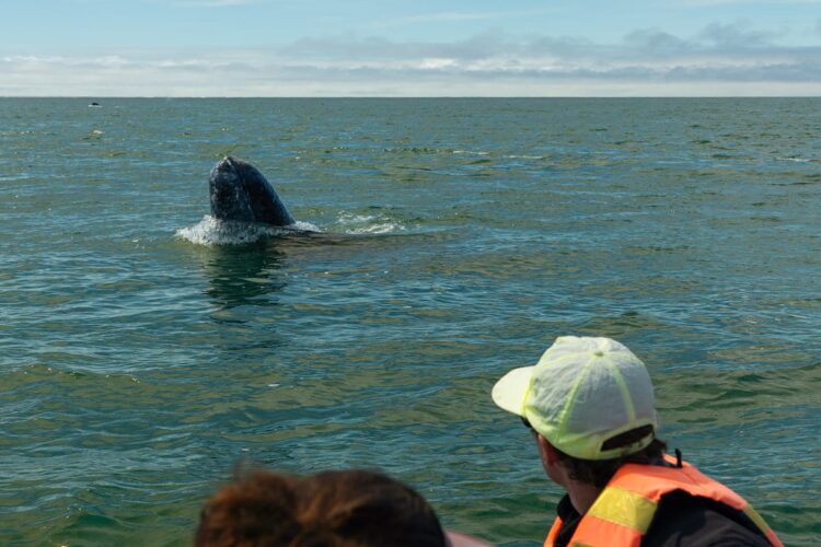 Photo by Oscar Manguy