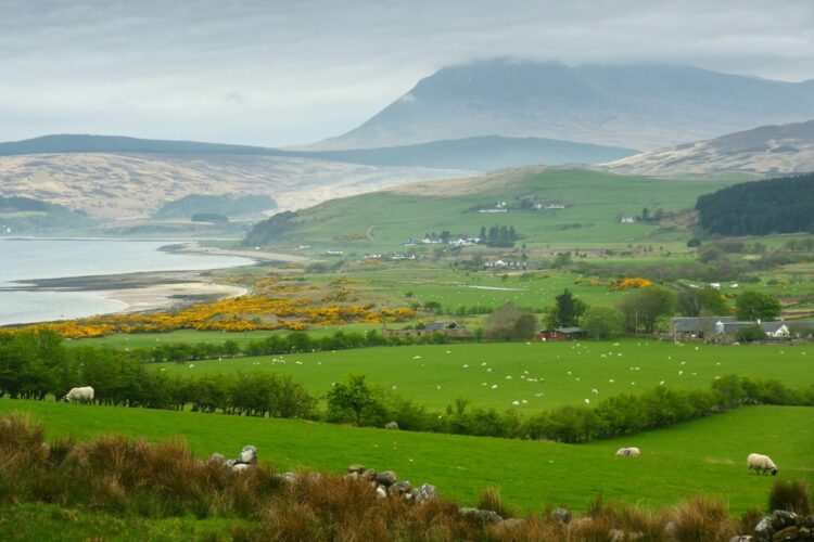 Photo credit: Rich Brame