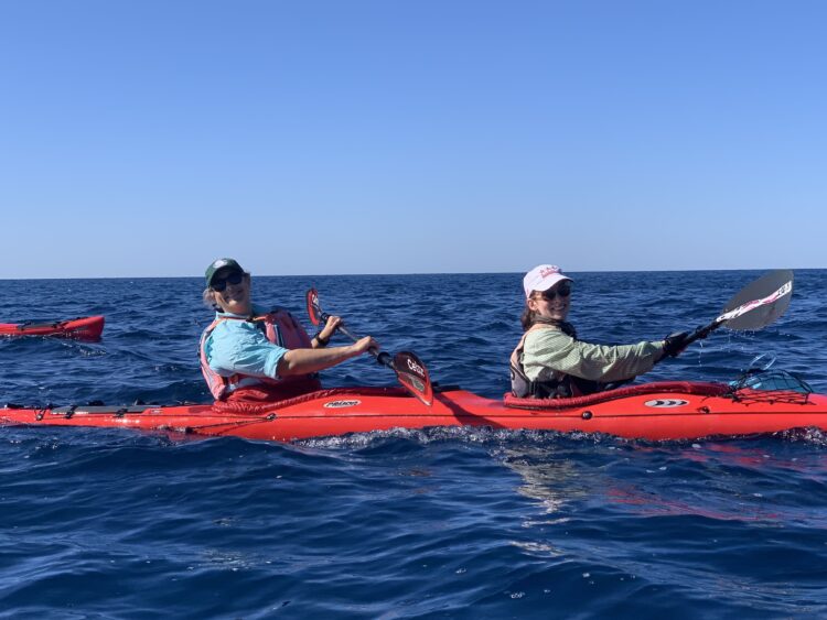 Photo by Steve Harrington