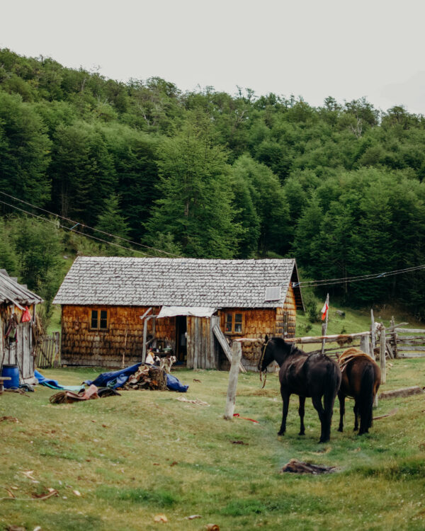 Photo credit: Clary Greacen