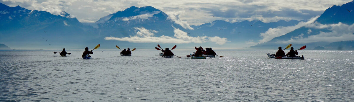 Alaska Executive Leadership Kayak Expedition