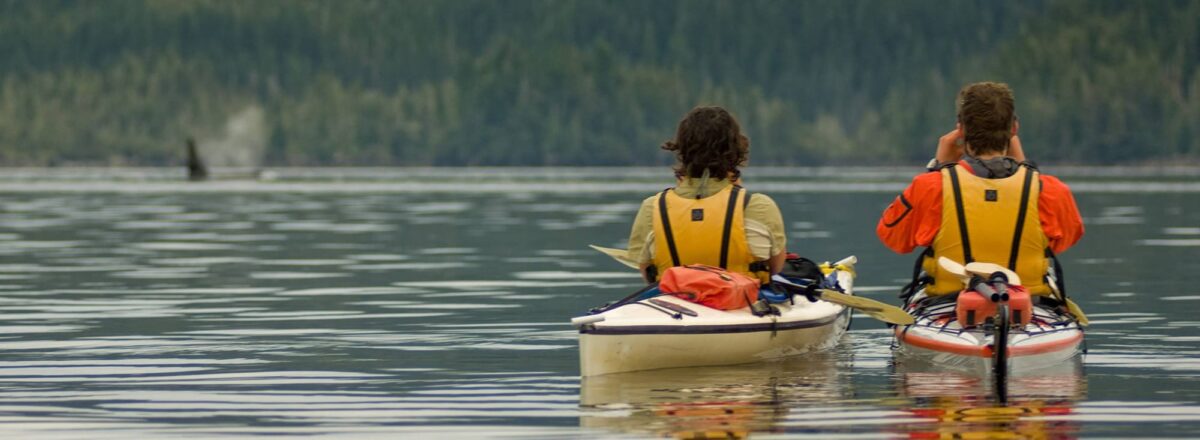 Photo by Fredrik Norrsell