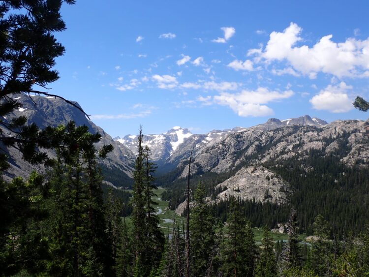 Photo Credit: Brandi Burnell