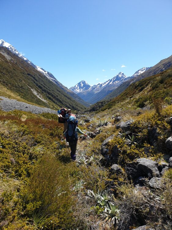 Photo credit: Tarsh Turner