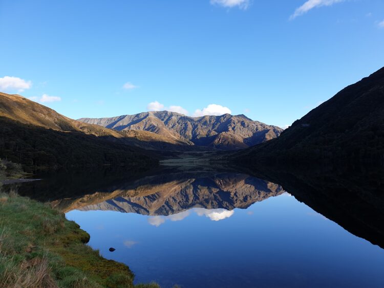 Photo credit: Tarsh Turner