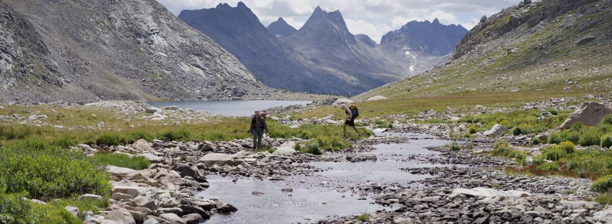 Photo by Jamie O'Donnell