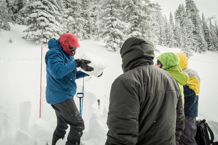 Photo by Jared Steinman