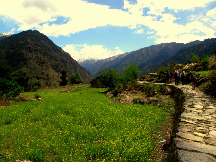 Photo credit: Kirk Rasmussen