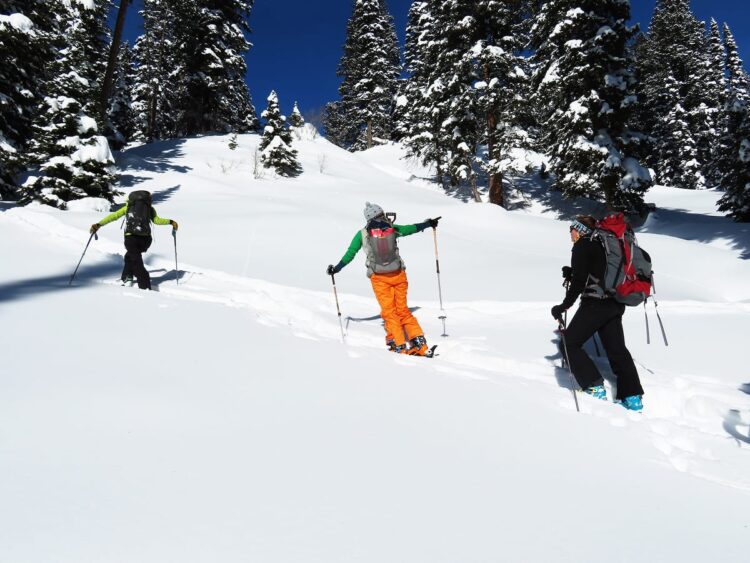 Photo by Kristen Lovelace