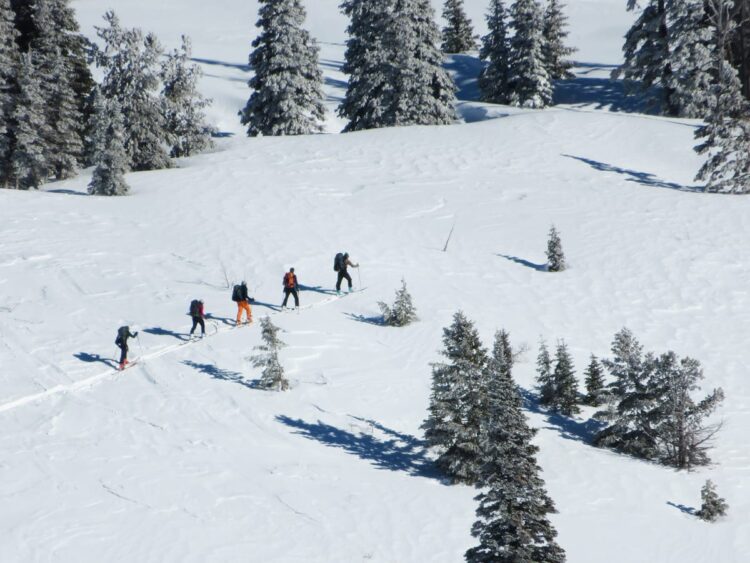 Photo by Kristen Lovelace