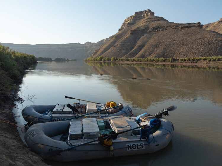 Photo by Lauren Bally