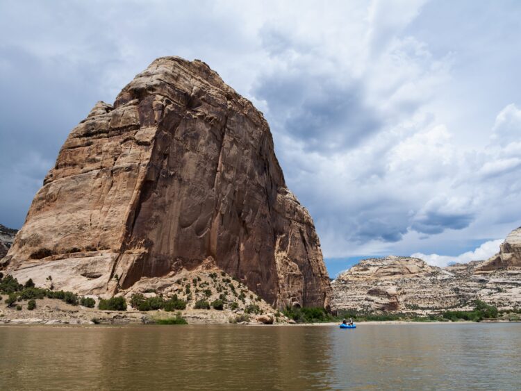 Photo by Lauren Bally