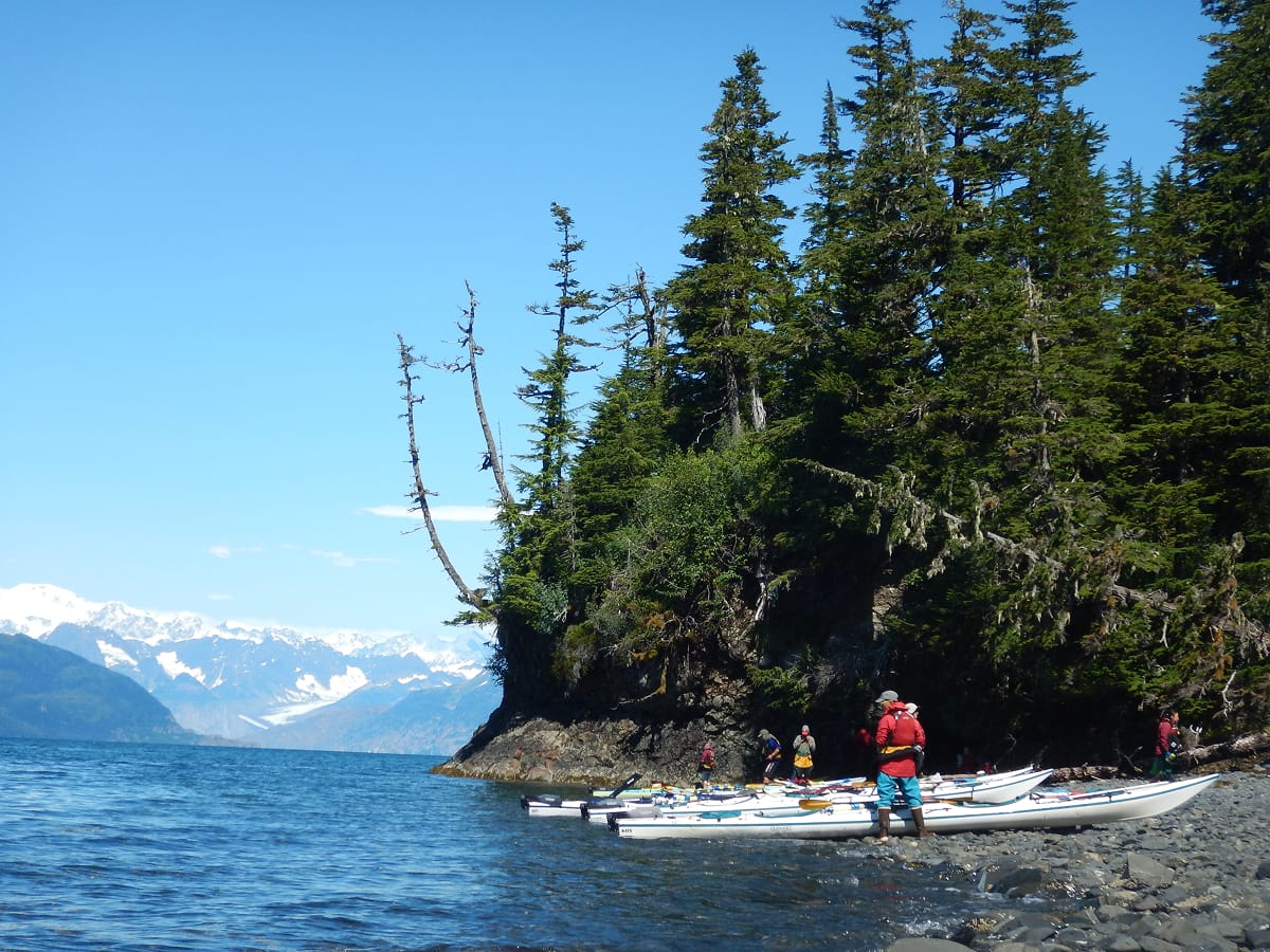 Case Study: Sea Kayaking Slip 