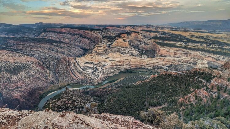 Photo by Manuel Aguilera