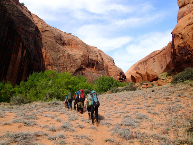 Photo credit: Matthew Kearns