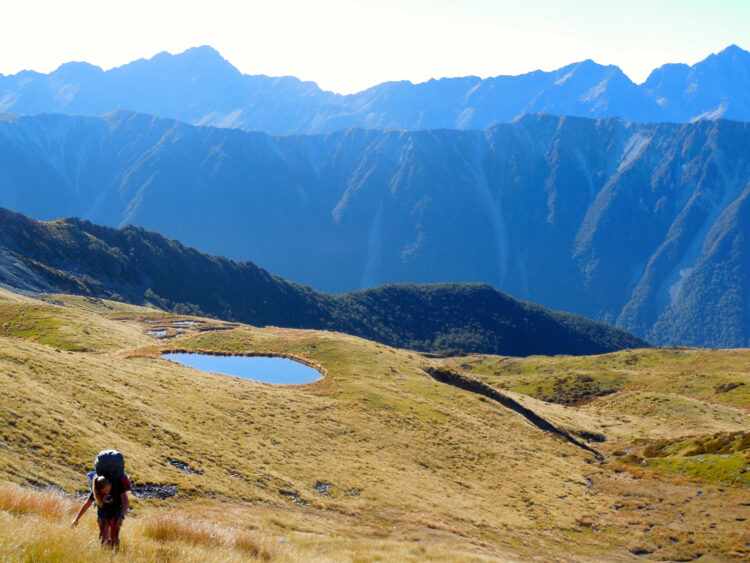 Photo credit: Molly Hunt