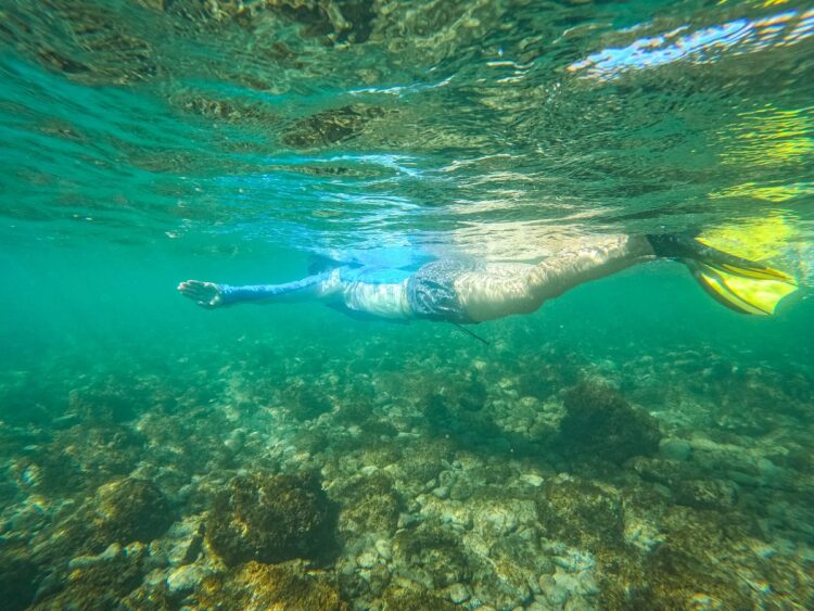 Photo by Oscar Manguy