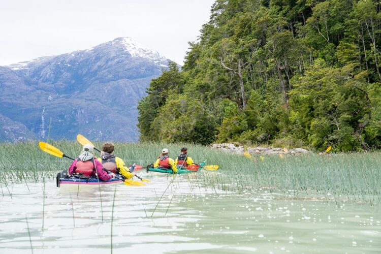 Photo by Oscar Manguy