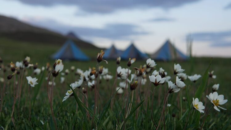 Photo by Prasad Gadgil