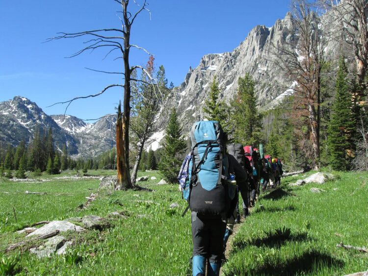 Photo by Rachel Gold