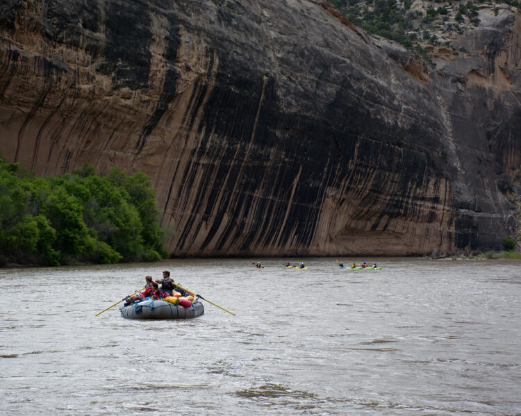 Photo by Scott Eubank