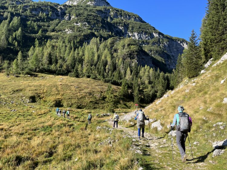 Photo Credit: Alexandra Kolod