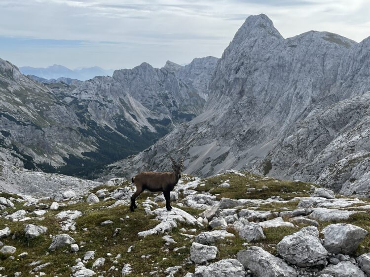 Photo Credit: Alexandra Kolod