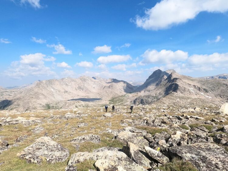 Photo by Steph Taylor