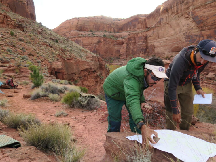 Photo credit: Thomas Conor