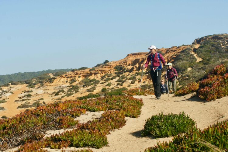 Photo Credit: Rich Brame  