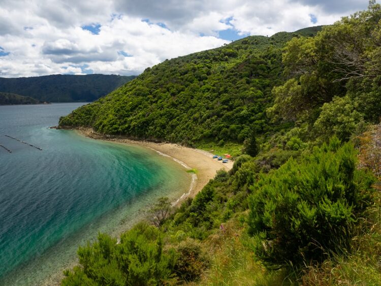 Photo by Vivian Merrill