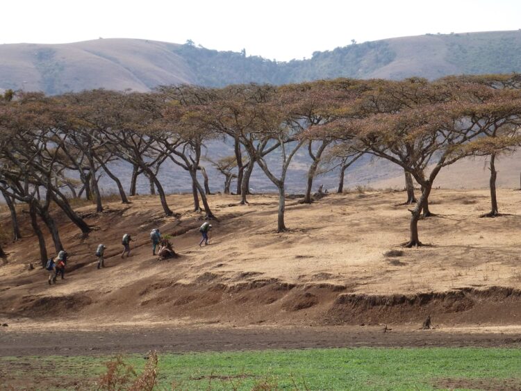 Photo by Clair Smith