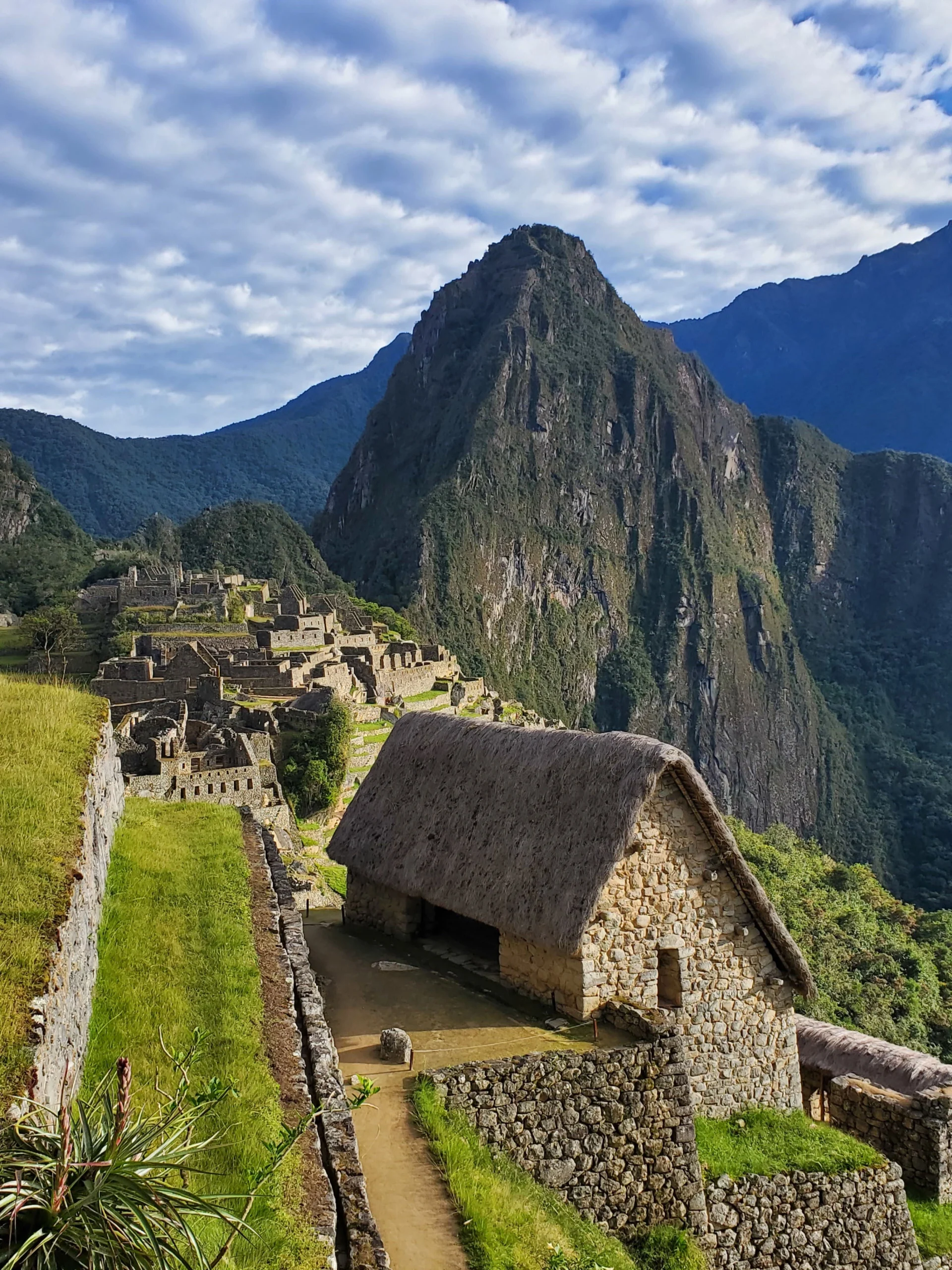 Photo credit: Samuel Husley