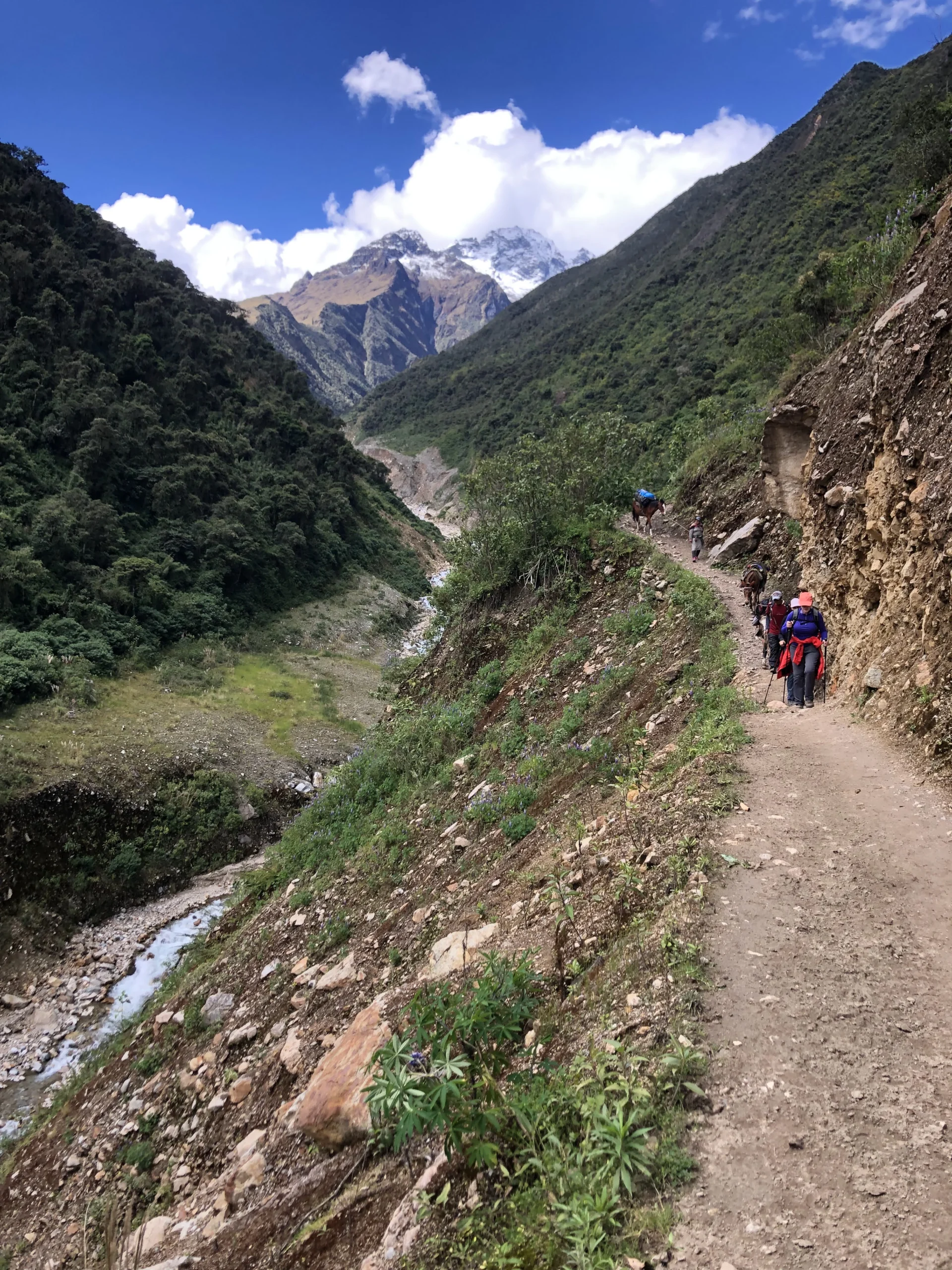 Photo credit: Samuel Husley