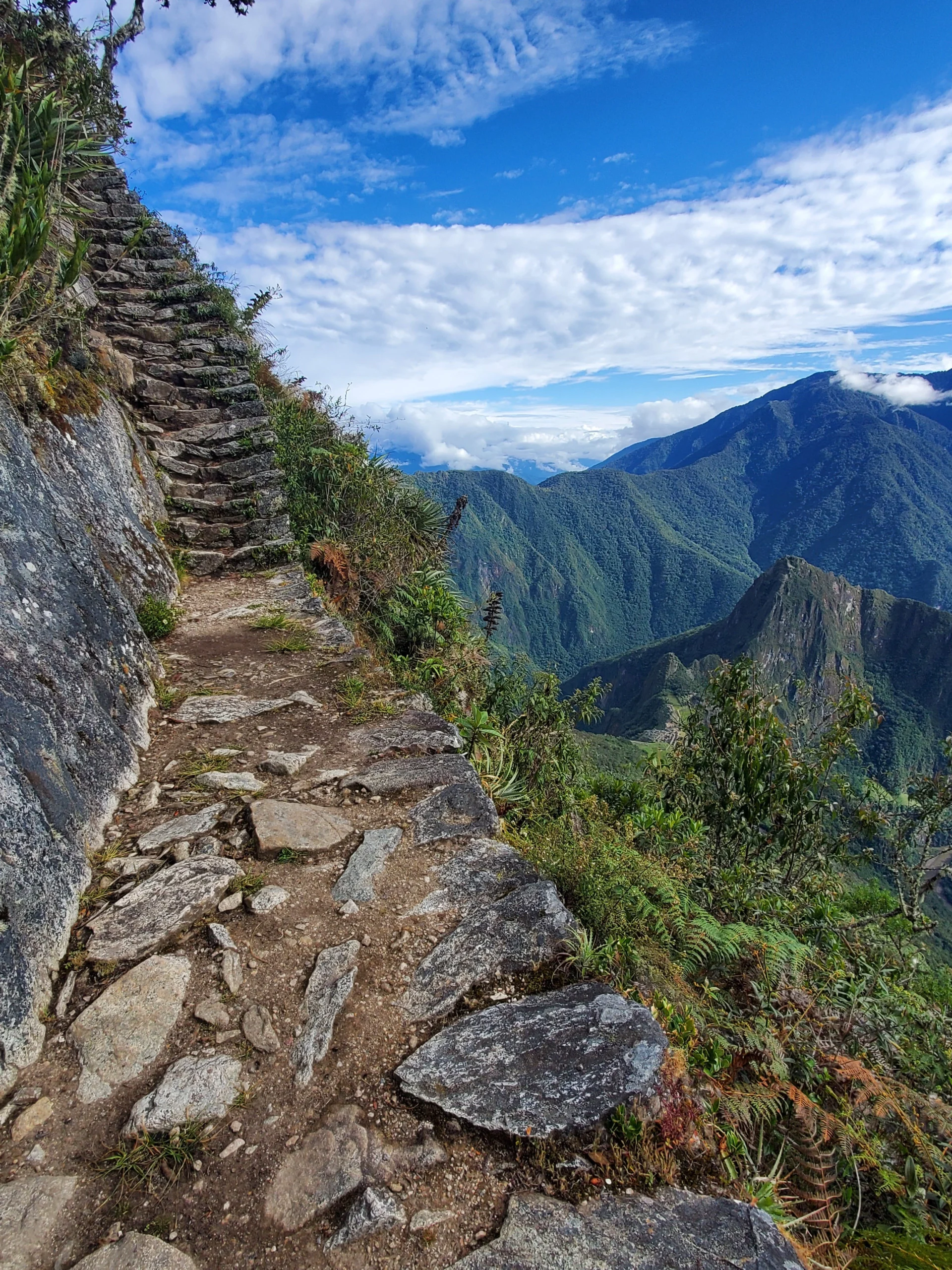 Photo credit: Samuel Husley