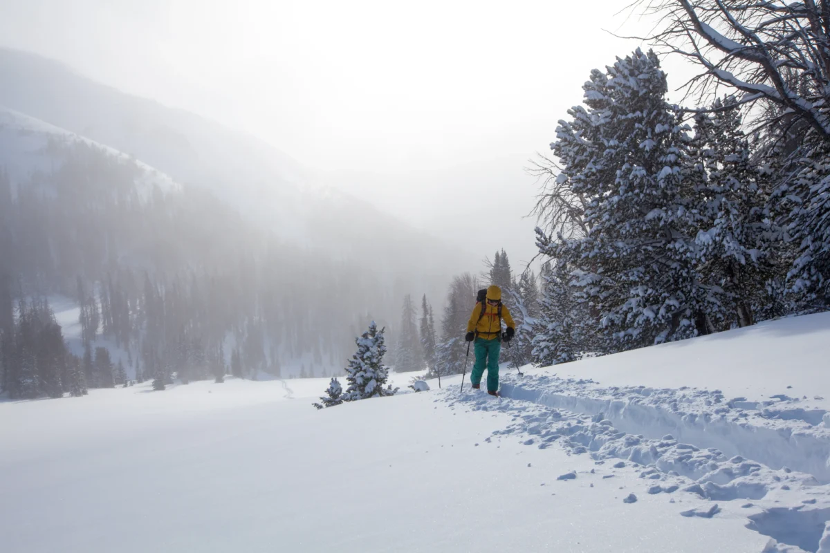 1-day Intro to Backcountry Skiing in the Tetons