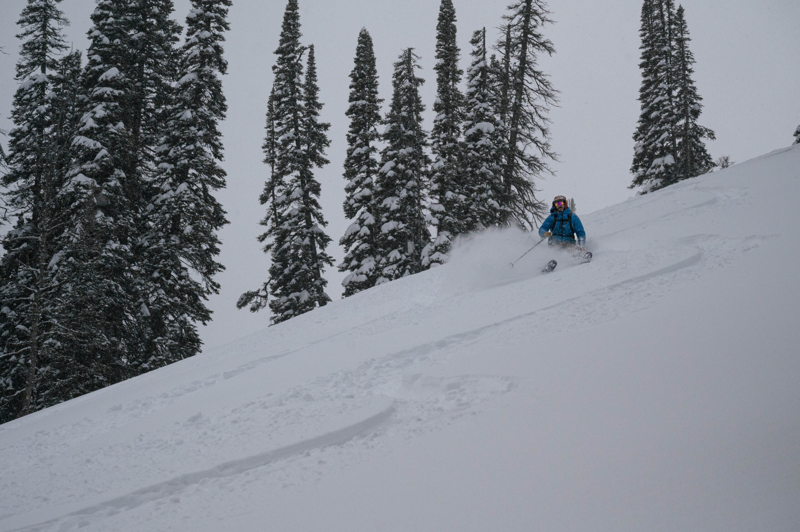 a person skis through deep powder on a lightly forested slope against a grey sky