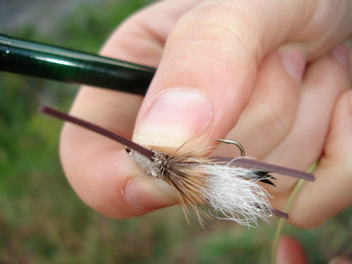 Case Study: Fishhooks