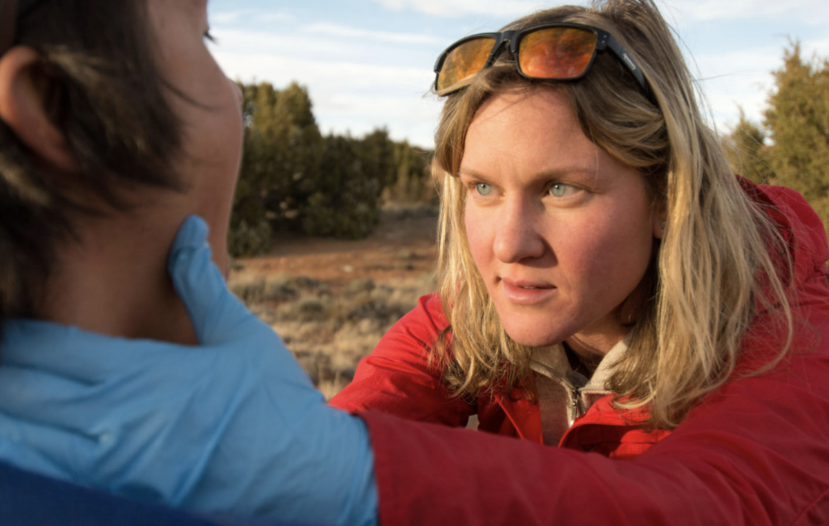 Case Study: Bear Spray in the Face